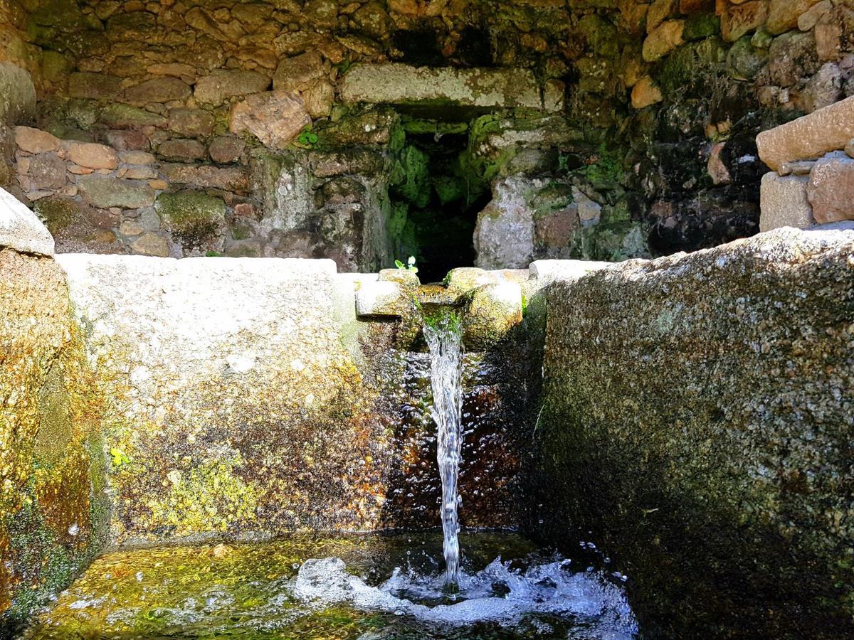 Casa de hóspedes Monasterio Y De